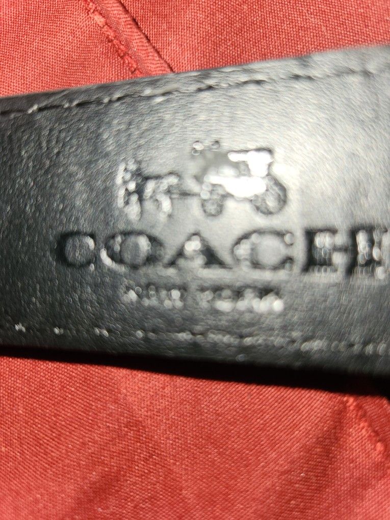 Coach Belt