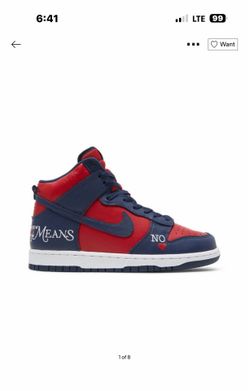 Supreme dunk high 10.5