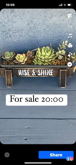 Wooden Planter