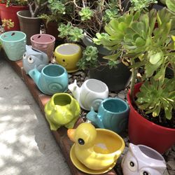Any Combination Of 3 Pieces Of Pots For $10 Only
