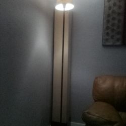 Peanut Butter Soda Corner Shade Tall Lamp And Picture Must Go By This Morning. Moving Sale Very Cheap. Very Nice Moving Moving Must Go