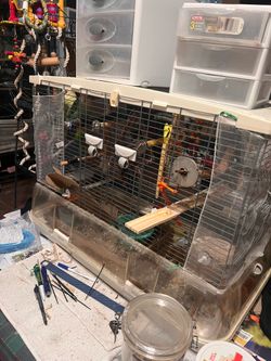 Bird Cage  for Sale. - With pull out tray  water & food dish