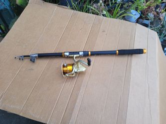 Fishing pole and reel