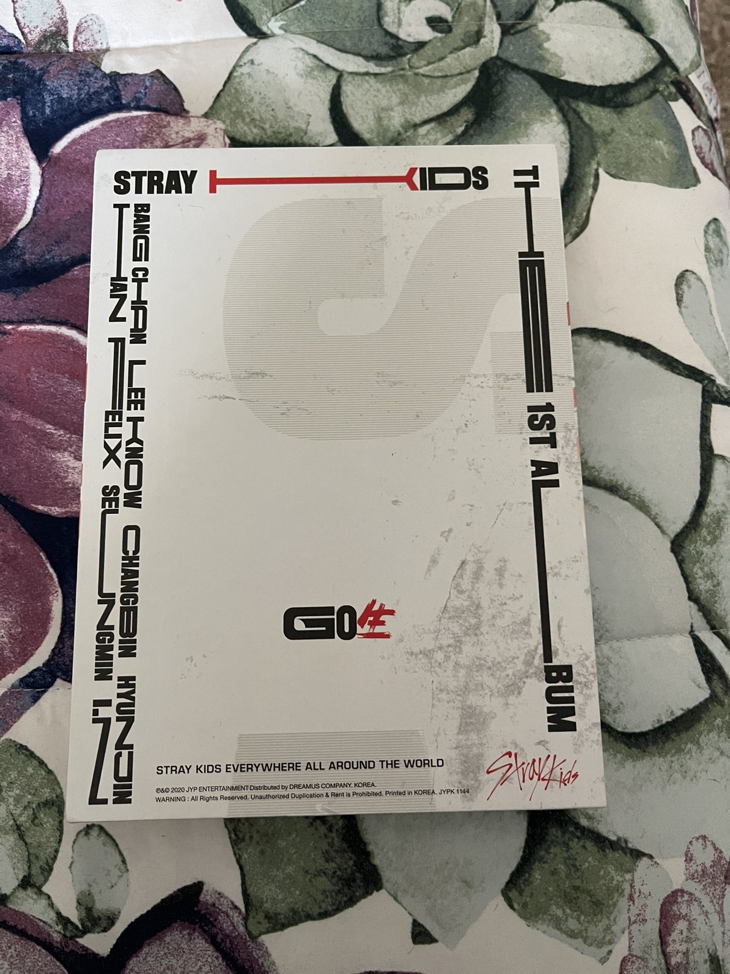 STRAY KIDS: GO LIVE ALBUM