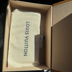 Louis Vuitton Side Bag 