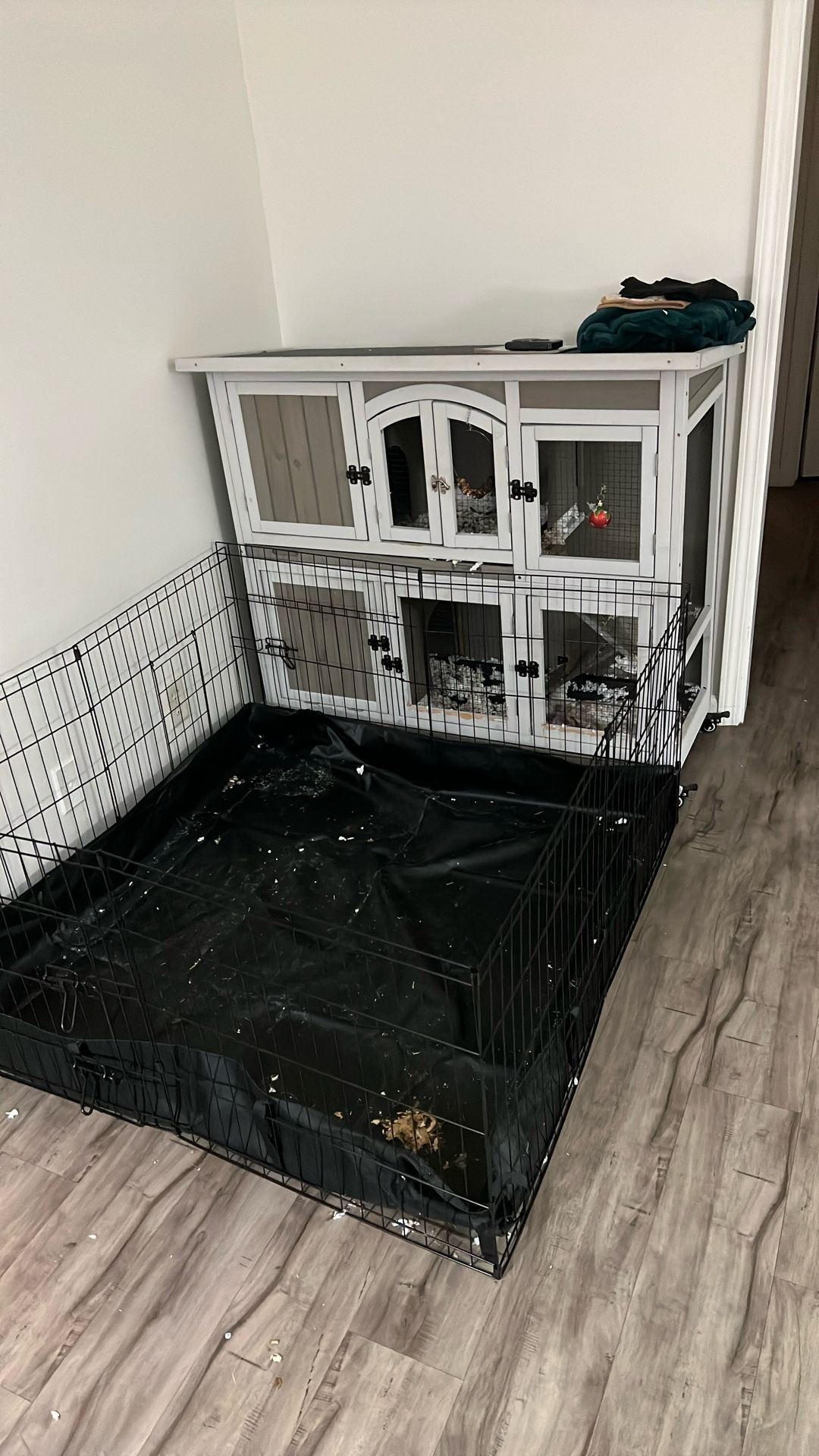 Guinea Pig Mansion 