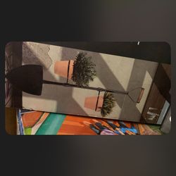 Plant Holders 