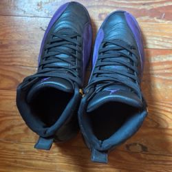 Air Jordan 12 Retro 'Field Purple'