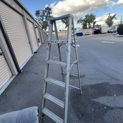 Ladder 6ft