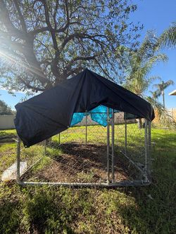 Kennel