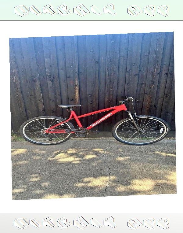 leader sure Mature Bike Easy Riding for Everyday Use