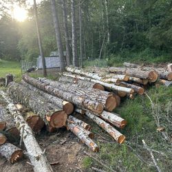 Firewood Or Logs 