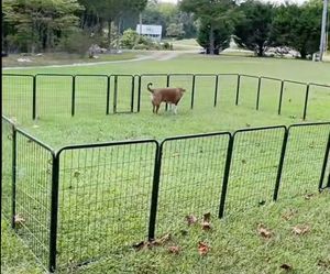 Brand new 16 pieces of Portable Metal Pet fence