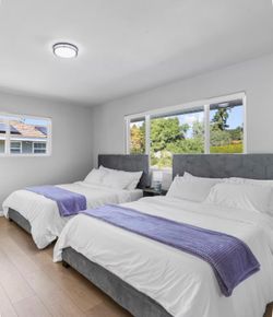 Two queen bed frames