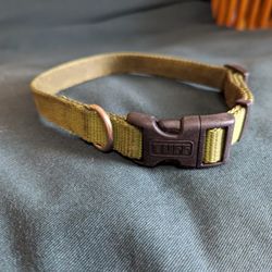 Tuff Dog Collar