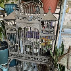 Bird cages 