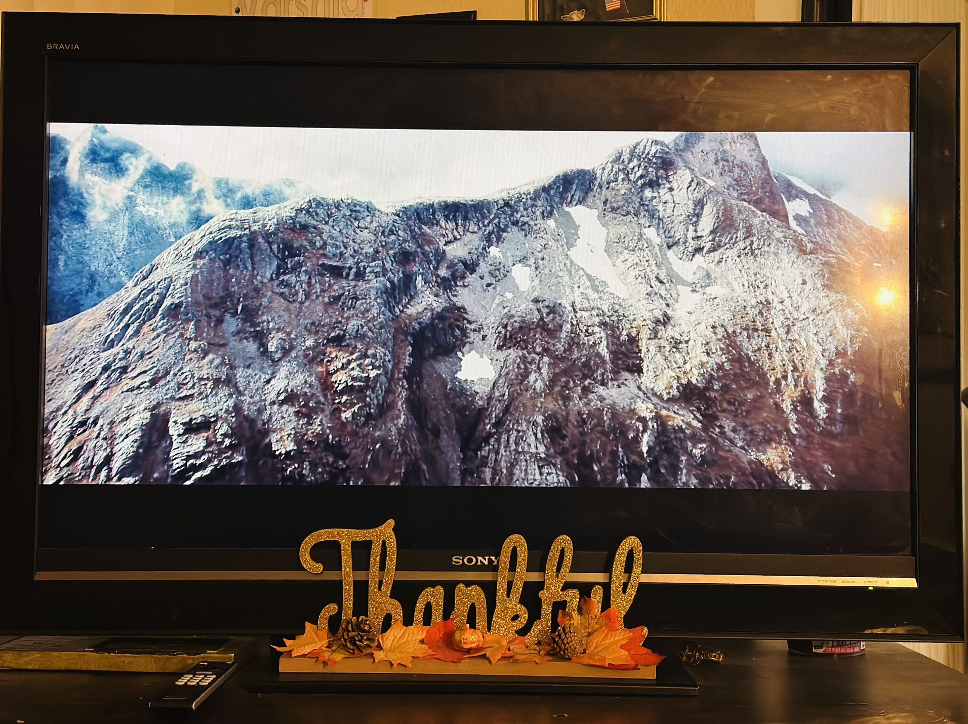 55” Sony LCD TV – $50 (Good Condition)