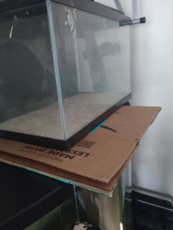 10 Gallon Fish Tank 