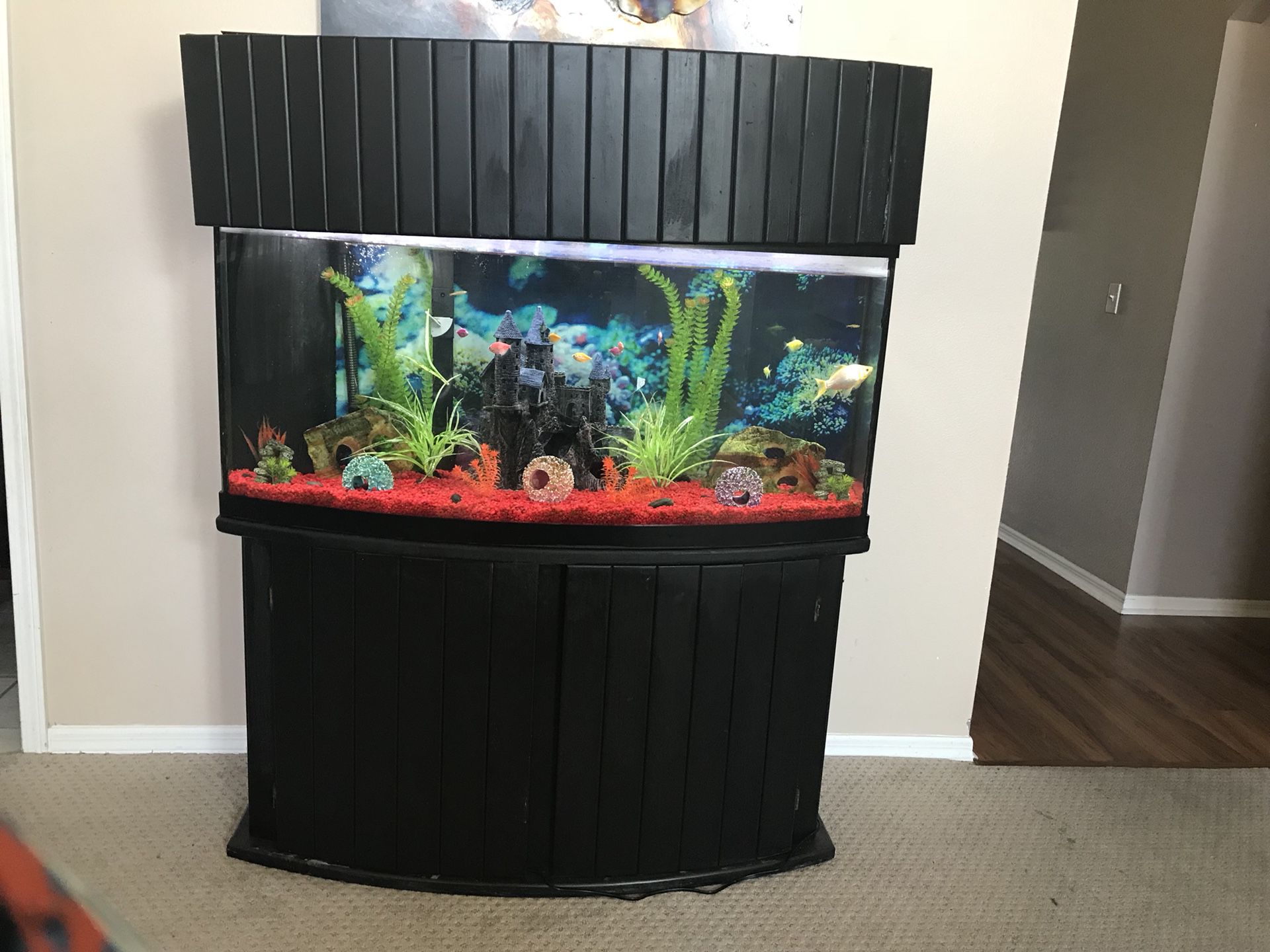 75 gallon Fish Tank Only the Tank w/ frame