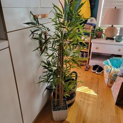 Artifical Bamboo Plants