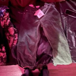 Levi Courteous Pants New With Tags