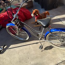 Adult Bicycle