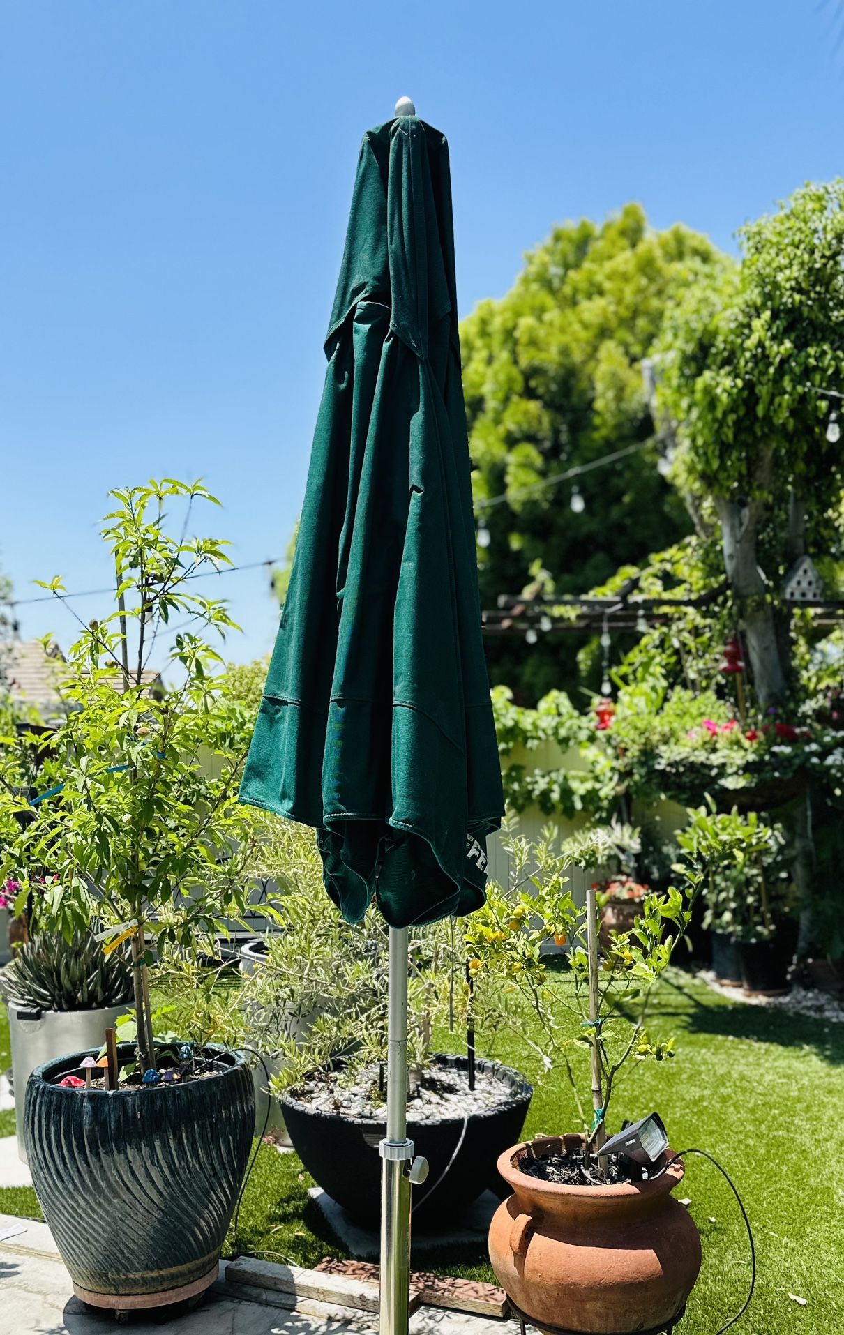 Tuuci Starbucks Commercial Patio Umbrella