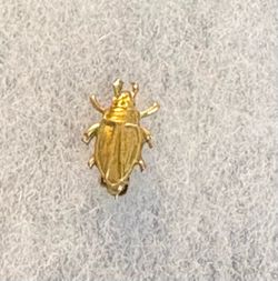 Vintage Gold-Tone Beetle Lapel Pin / Tie Tack