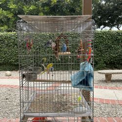 Bird Cage 