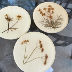 Pressed Flower Coasters