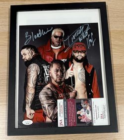 Signed wwe frame