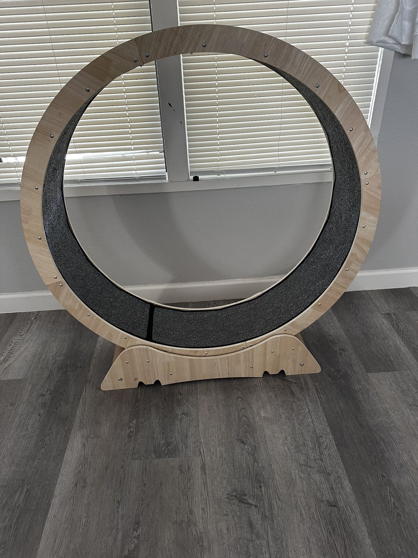 XL Cat Exercises Wheel