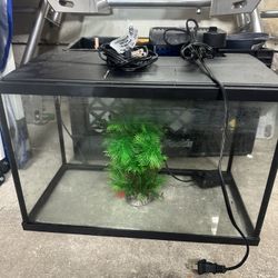 3 Gallon Fish Tank