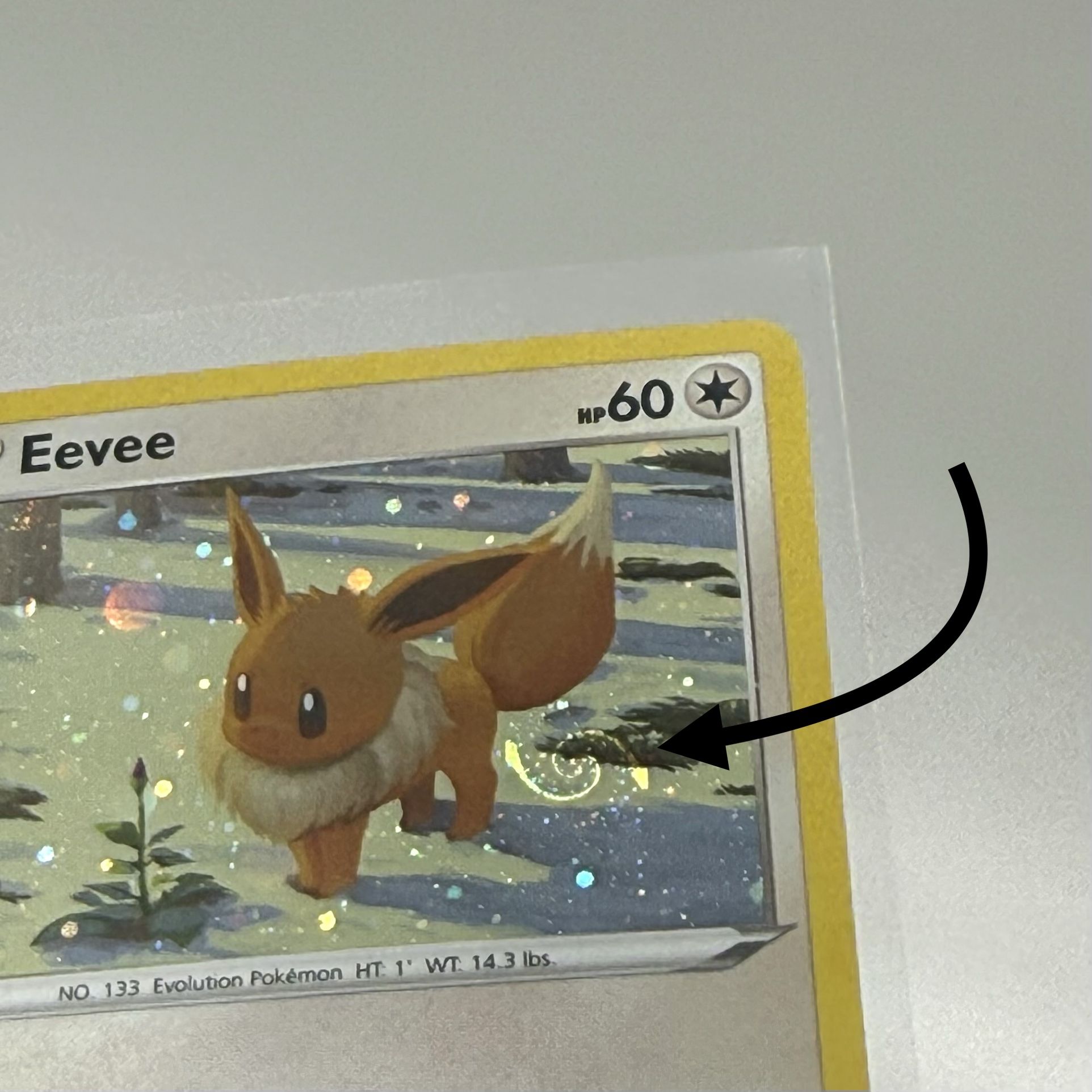 Eevee Promo With Swirl π