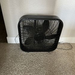 Fan