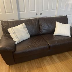 Leather Sleeper Sofa 