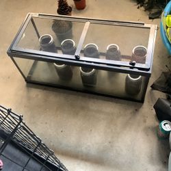 Aquarium 
