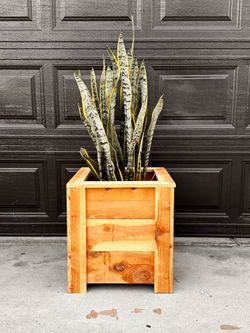 Wood planter