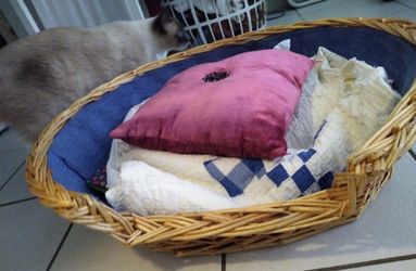 Pet basket