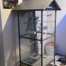 Bird Cage 