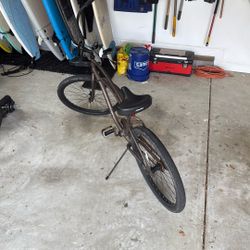 Electra Bike