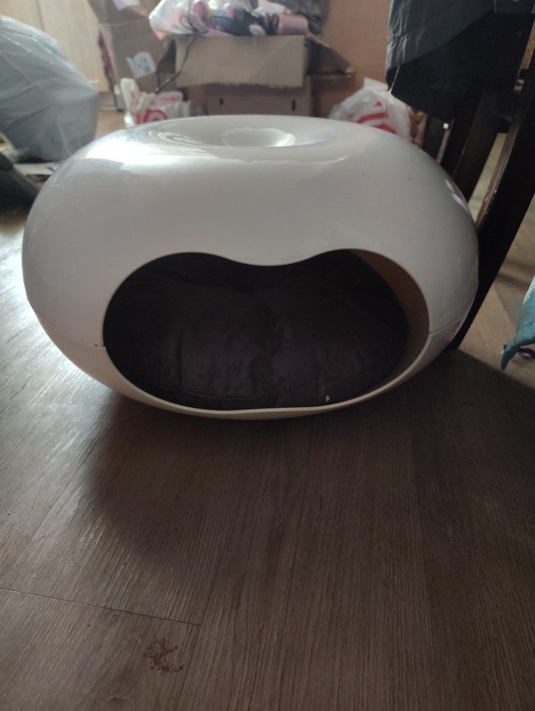 Kitty Lounge