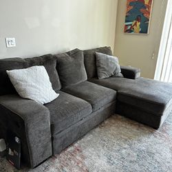 Sleeper Couch / Pull Out Sofa