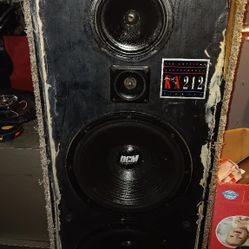 2 DCM Loudspeakers 