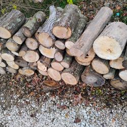 Firewood Season Cut And Split
