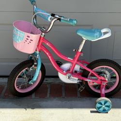 Toddler Bike 