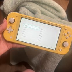 Nintendo Switch Lite 