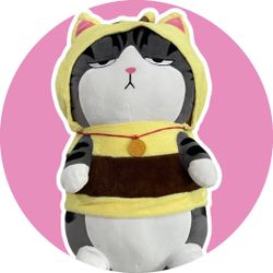 Royal Teddy Cat Cosplay Yellow Bee