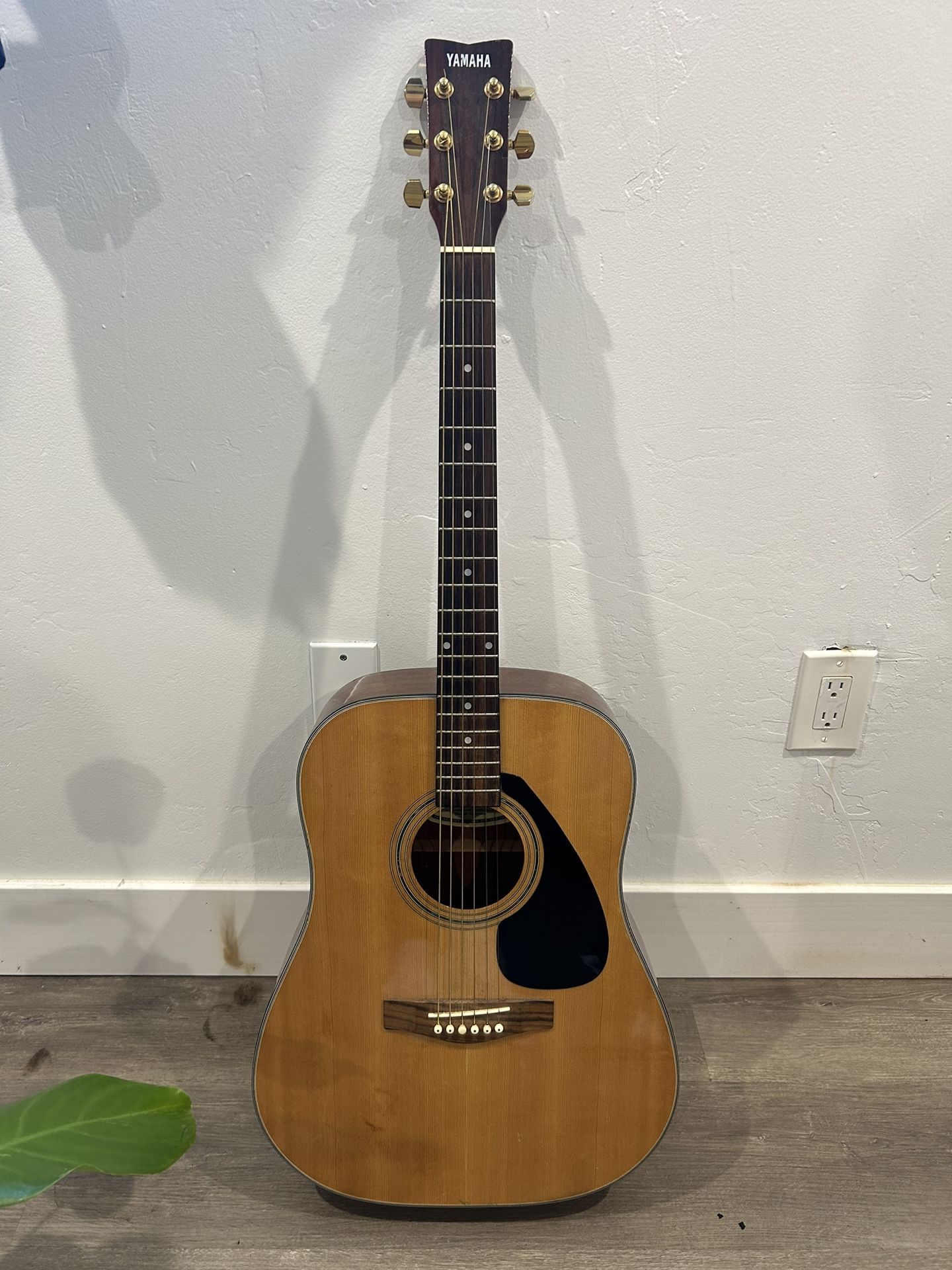 Acoustic Guitar