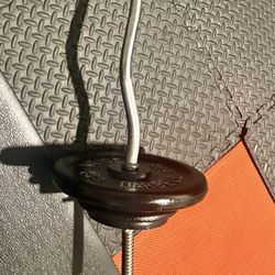 Standard Curl Bar with Weight Plates: 25s, 10s, 7.5s and 5 pounders. Brute Weigh: 109#
